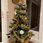 Les Dryades * Gérardmer