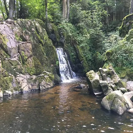 Les Dryades * Gérardmer