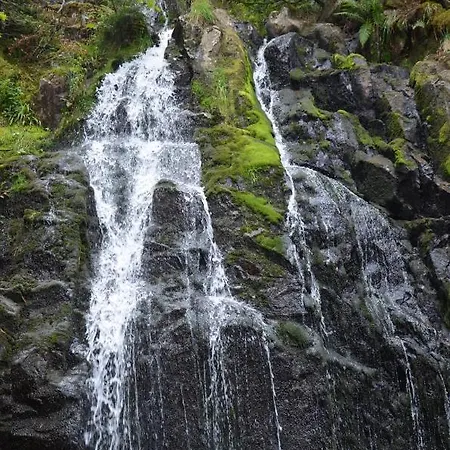 Les Dryades Gérardmer