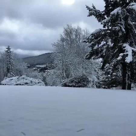 Les Dryades Gerardmer