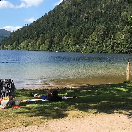 Appartement Les Dryades *