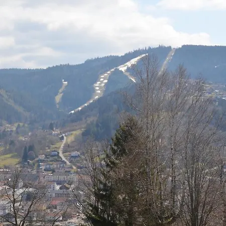 Appartement Les Dryades Gérardmer