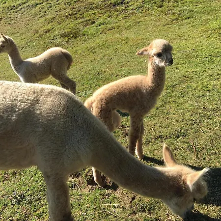 Apartamento Les Dryades Gérardmer