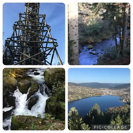 Les Dryades Apartamento